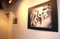 /album/expositions-passees/img-4475-copie-jpg/